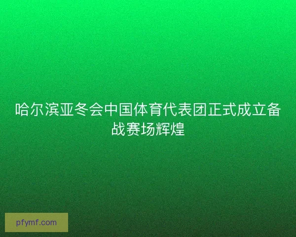 哈尔滨亚冬会中国体育代表团正式成立备战赛场辉煌